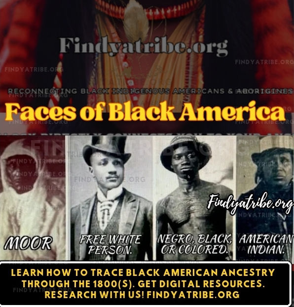 Chronological Overview of Linguistic Resistance and Academic Advancement: Indigenous Black Americans