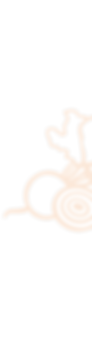 FYPD beetroot