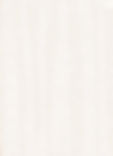 Eggshell background.jpg