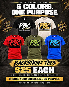 PBC Backstreet T-shirts in Black, Bone, Red, Olive and Royal Blue — five colors, one purpose.
