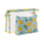 Prints Pvc Cosmetic Bags for Women