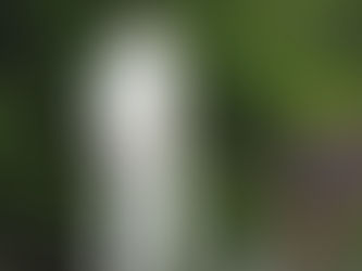 Volunteers week day 6- Jacob Short