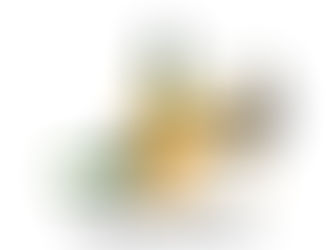 MINI & BIGGY BANKERS STARTS TOMORROW.