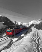 IMG_4431.jpeg