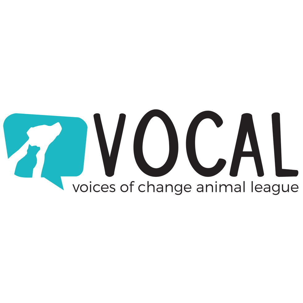 Vocal