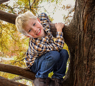 Fairy Lights Website-19.jpg