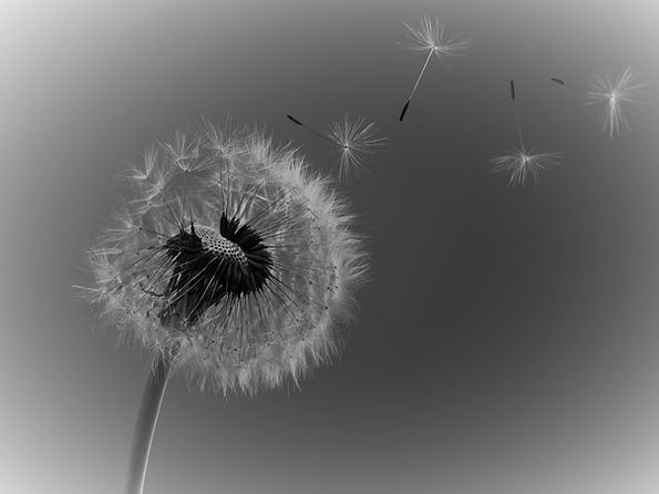 Nurturing growth and resilience with each step of the training journey