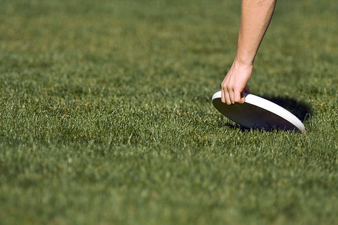 Picking Up Frisbee