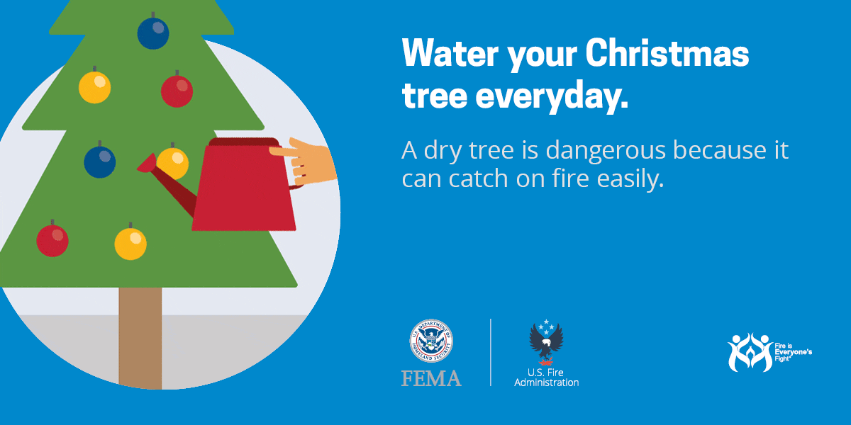 card-water-your-tree.1200x600.gif