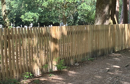 new fence 2.jpeg
