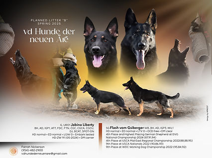 vd Hunde der neuen Äre_litter B.jpg