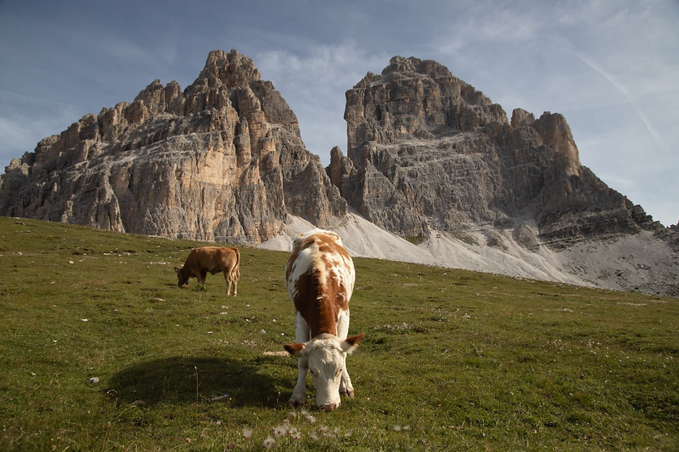 paesaggio montano