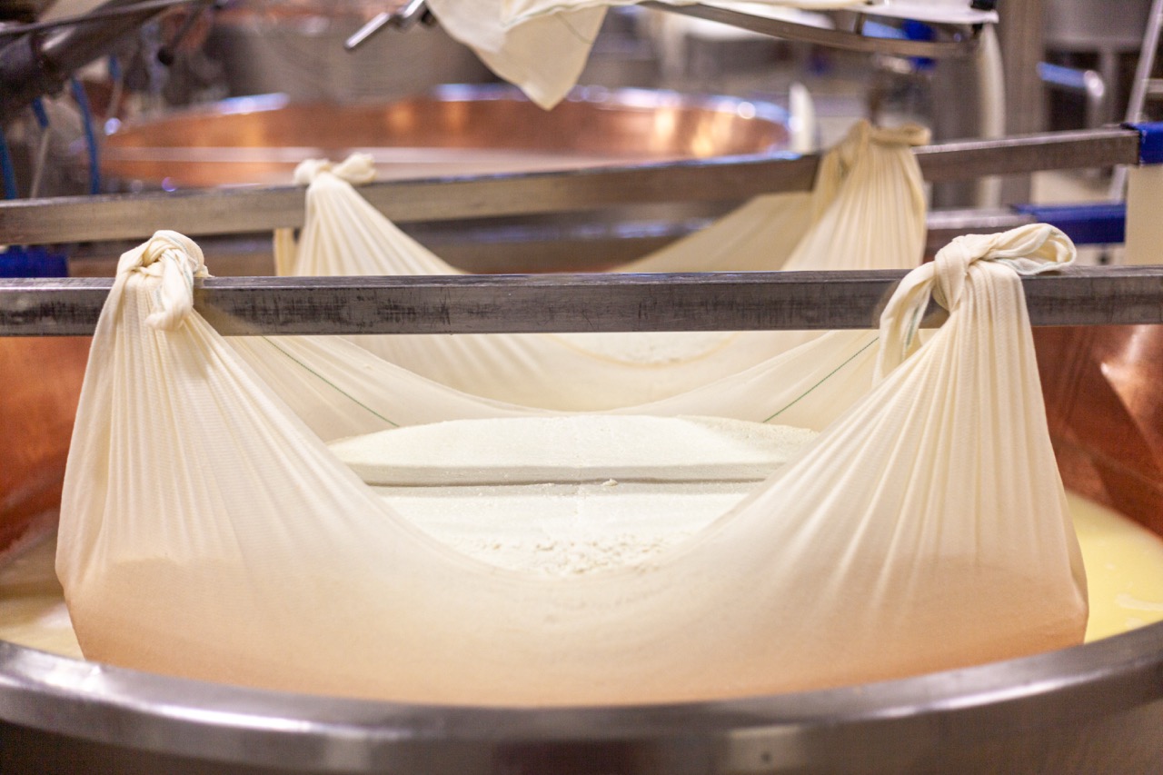 produzione formaggio Large.jpeg