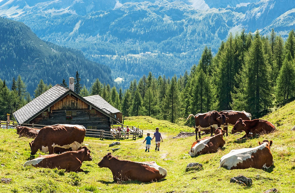paesaggio montano