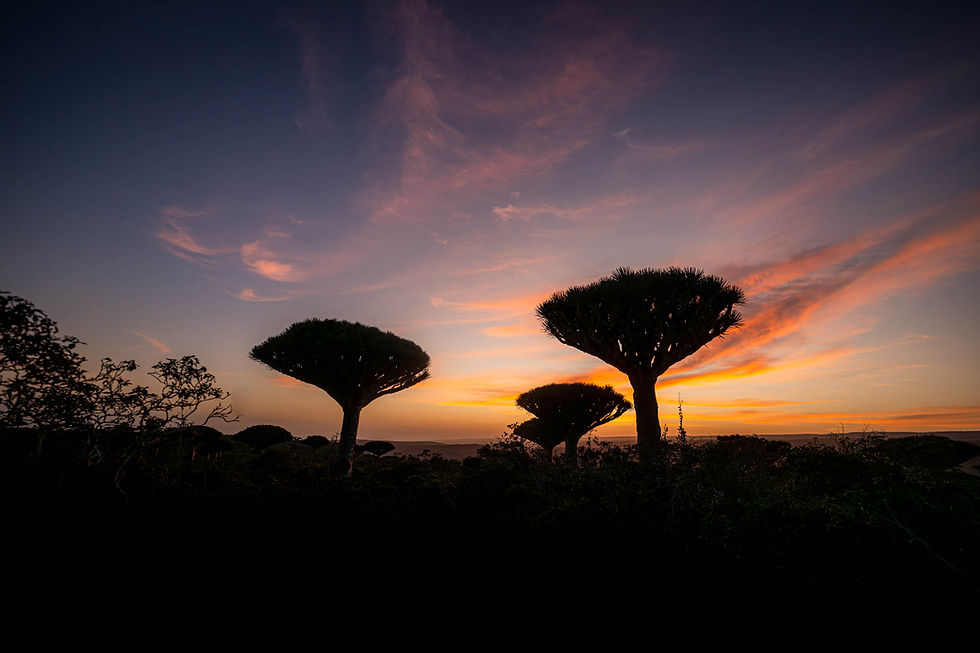 Vista di un edificio