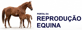 logoago26.png