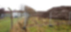 A stockpile of Giant Hogweed contaminated soil fenced off to prevent cross-contamination