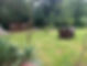 JARDIN 2.jpg
