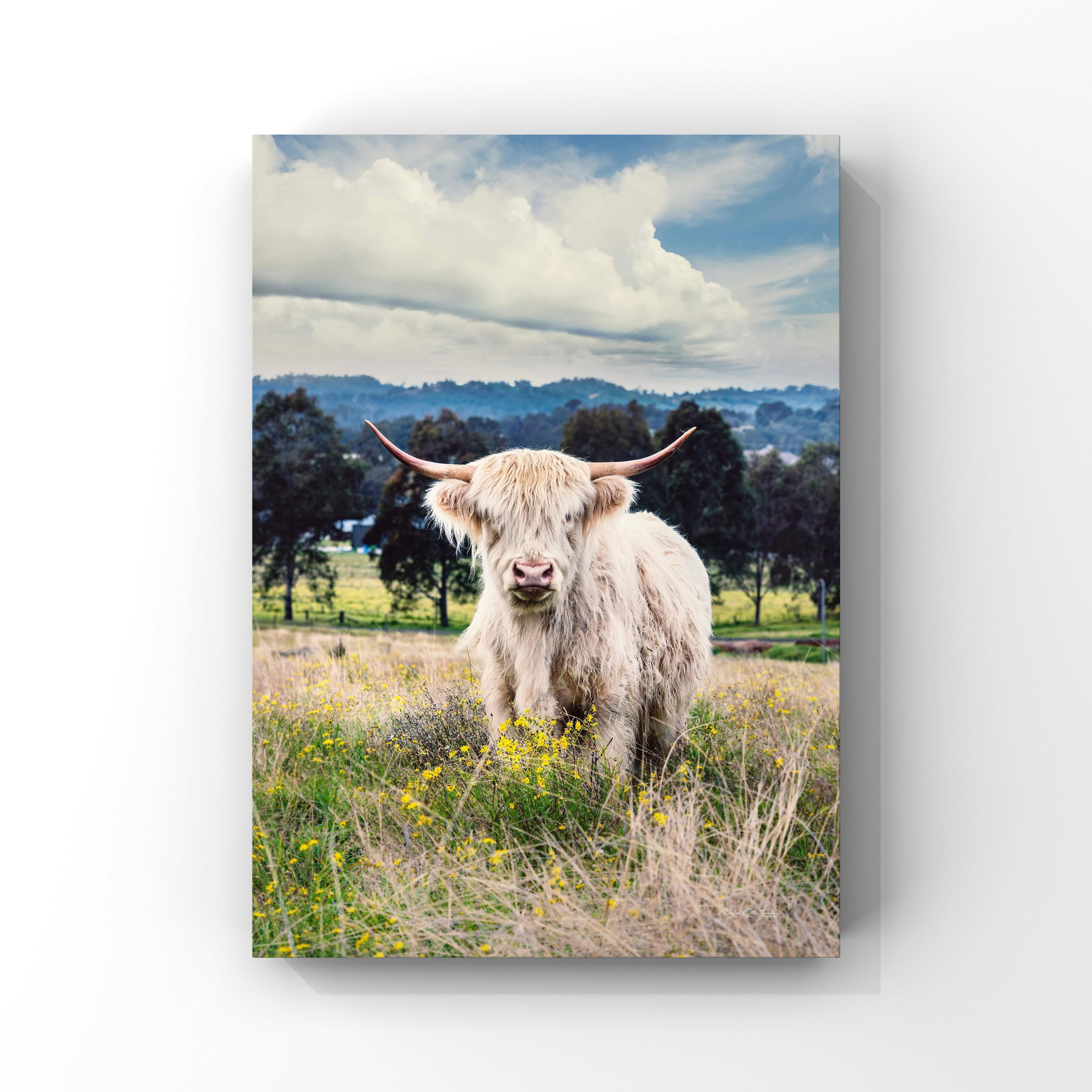 1083 Duncan On The Hill