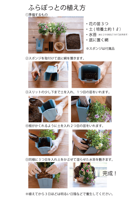 フラポットの植え方.gif