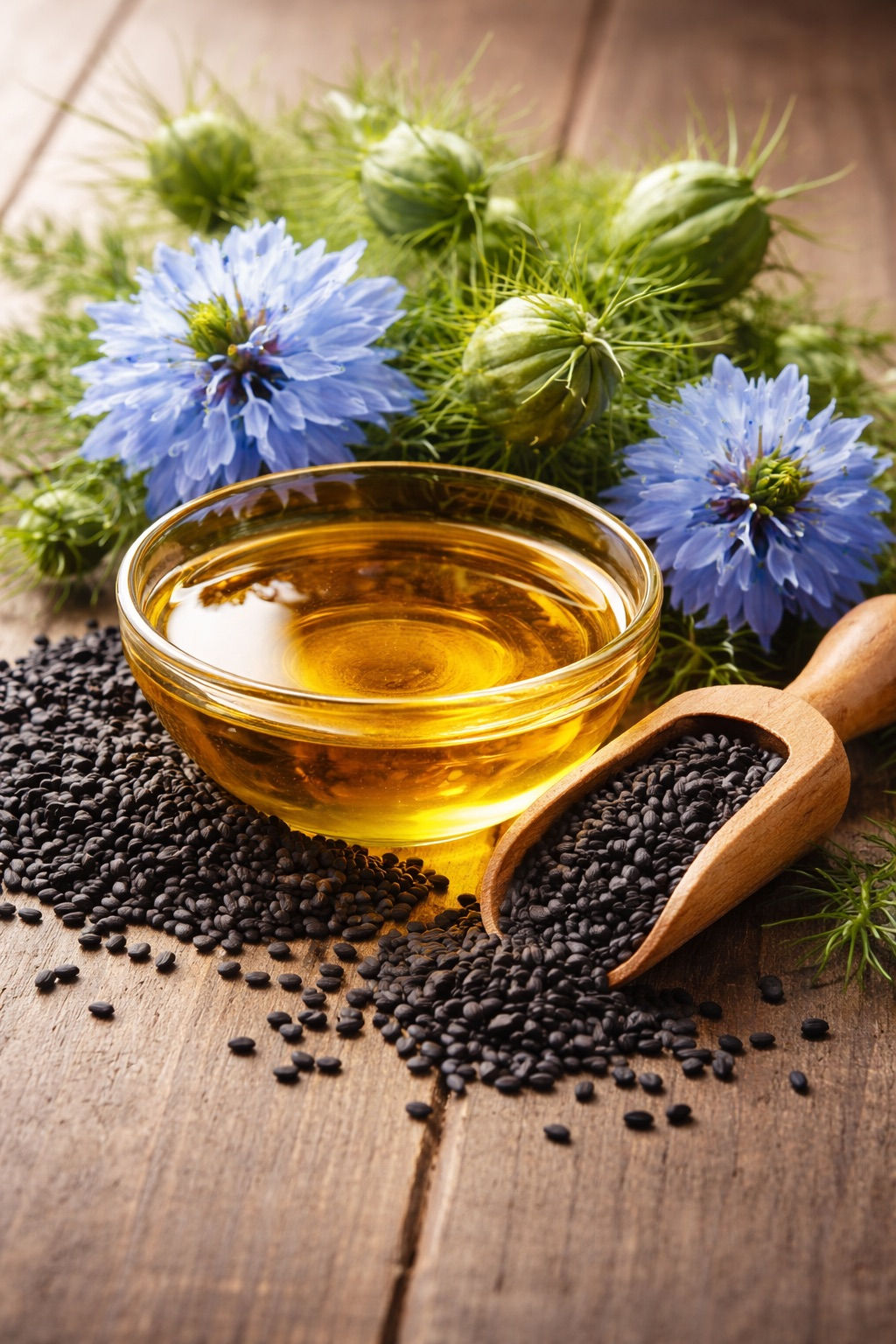 Schwarzkümmelöl BIO kaltgepresst