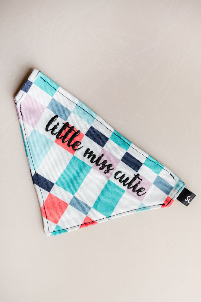 Thumbnail: Dog/Cat over Collar Bandana | Embroidered | Personalized