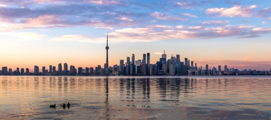 Toronto Limo Services.webp