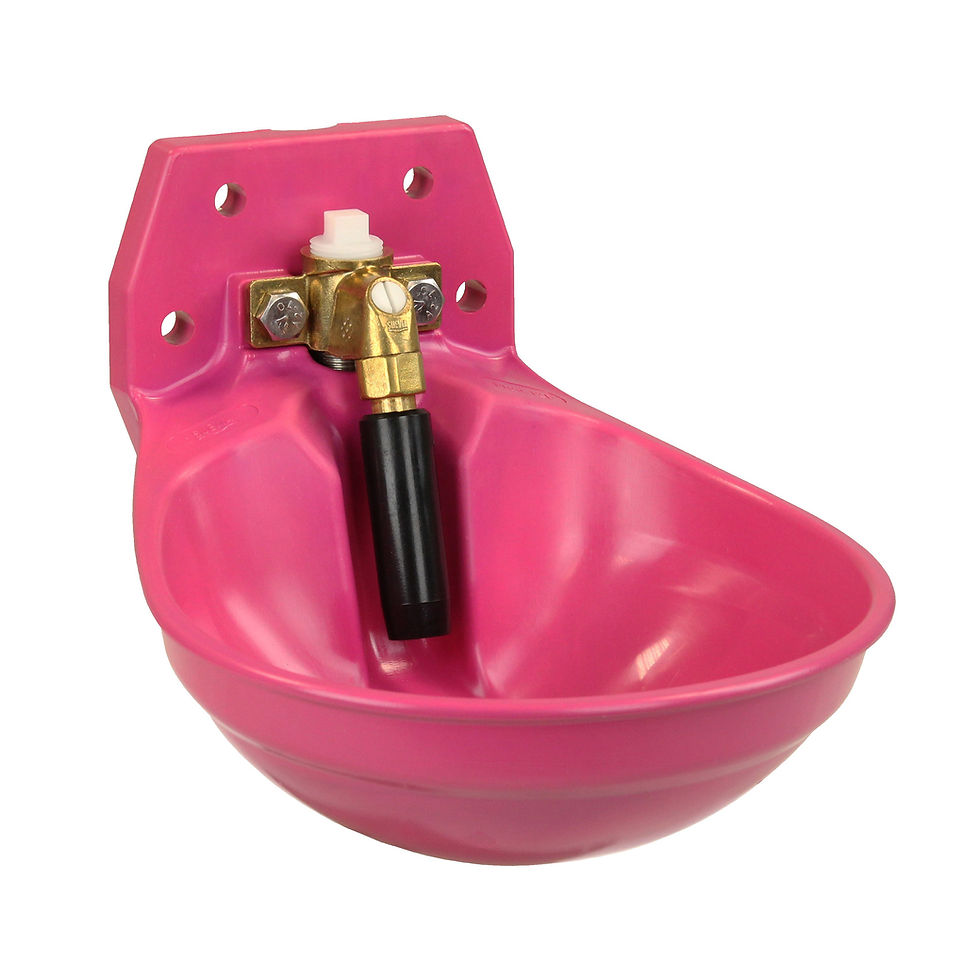 Thumbnail: Drinking Bowl Model 12P with ¾" stainless steel valve