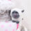 Thumbnail: Baa! Cotton Candy Cake - 4 Tier
