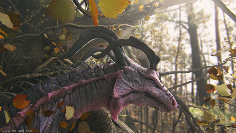dragon 08