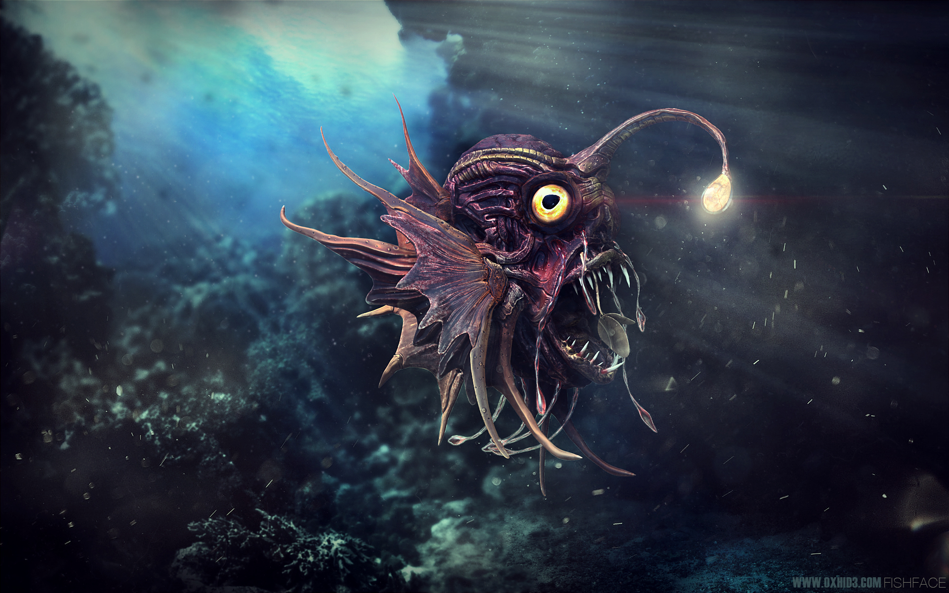 FishFace_1