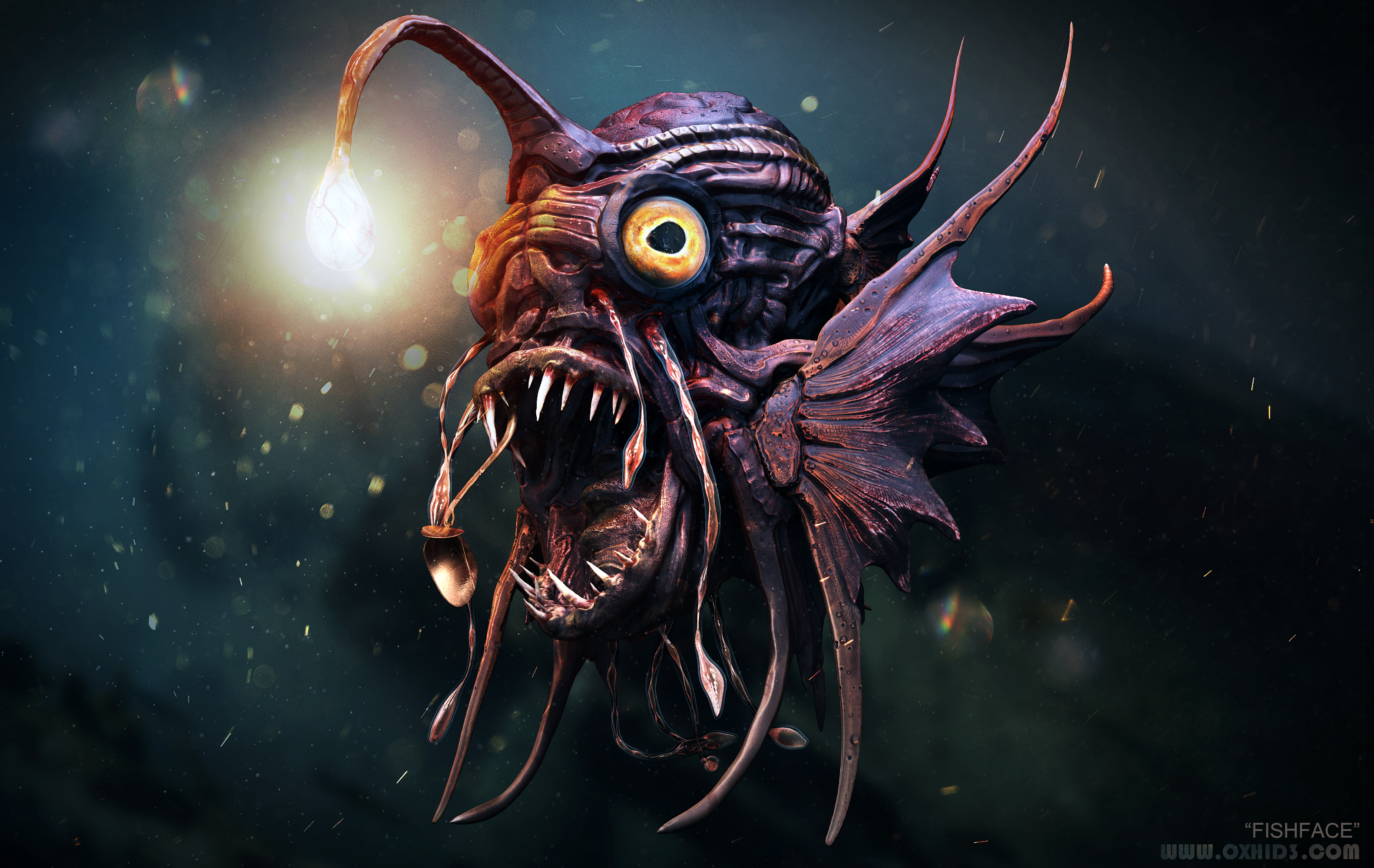 FishFace_1