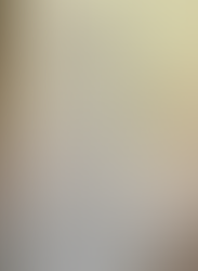 Ann Brynhynydd ( Ap Valant's wife, Ann Morgan)