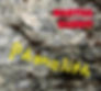 Martha-Rabbit_Phonolith