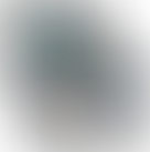 Domination Rankings - All Divisions - 1/2025