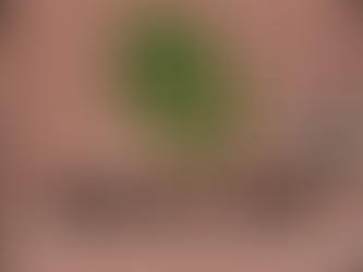 Baylor will Win the NCAA Tournament - Reasons Why By Whit Henry 