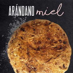 arandano miel bagel mascabado pachuca