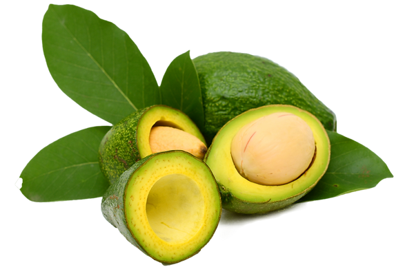 shutterstock_281349533 1 (1).png