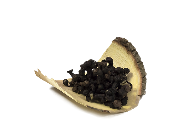 shutterstock_569719813 1 (1).png