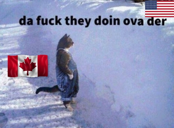 Proč je Kanada odolná vůči informační subverzi