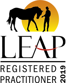 Leap RP 2019 logo.png