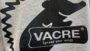 弊社のアイドル　ハリくん🦔