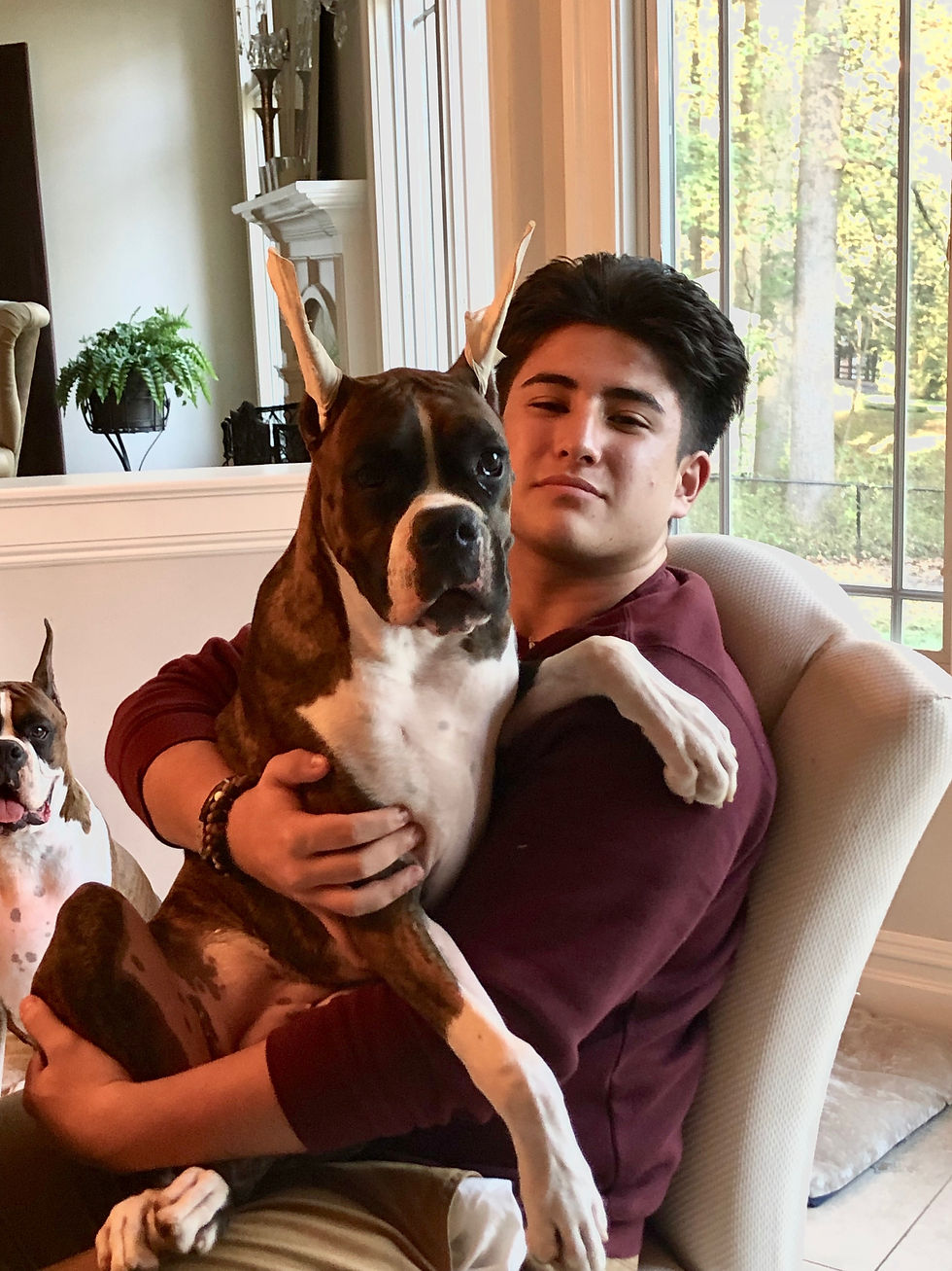 Jolie and Anthony