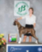 Feb 2020 - W. Springfield, MA