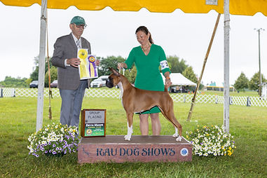 Maisy-BOB-G3-Bryn Mawr-Peter Frost.jpg