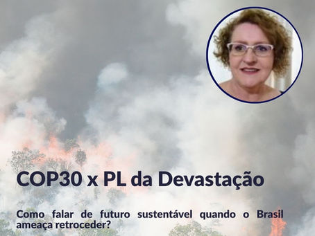 PL da devastação: por que devemos refletir?