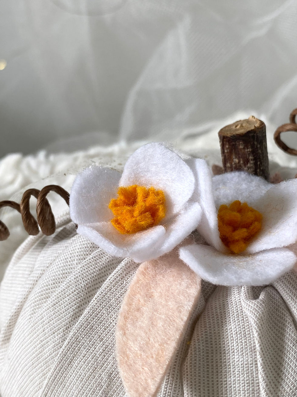 Miniature : Citrouille en fleurs