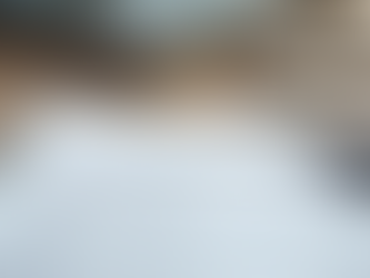 Understanding Trademark Objections: Common Reasons and Effective Reply Formats