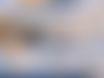 Understanding Kitchen and Bathroom Plumbing Differences for Smart Home Upgrades