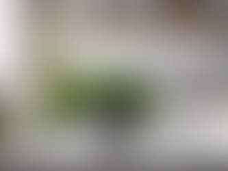 Hogares impecables: contrata a Samca Cleaning en Canadá